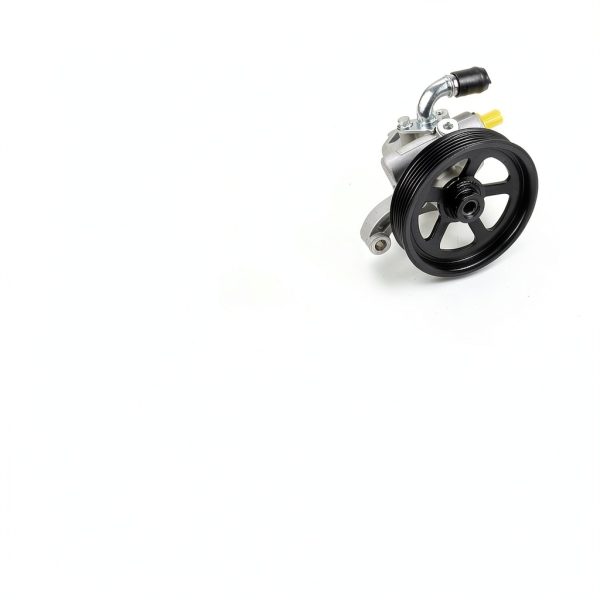 FEXON Power Steering Pump for Buick Enclave-1