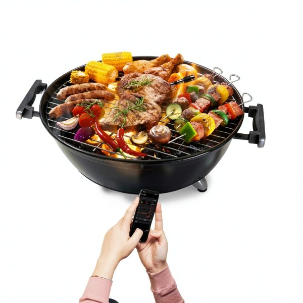 Wireless Smart Meat Thermometer HongKang Tech Dual-Probe 500FT Remote-3